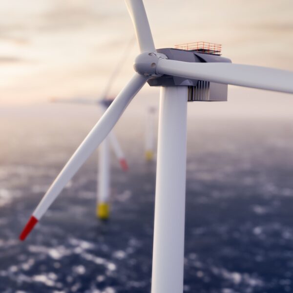 Experto en Gestión de Parques Eólicos Offshore y Nuevas Tecnologías (Matrícula)