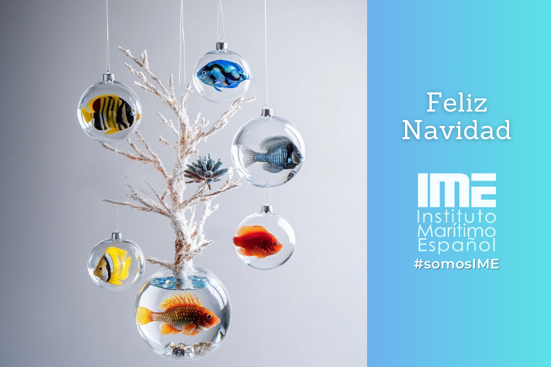 🎄 Feliz Navidad 🎄